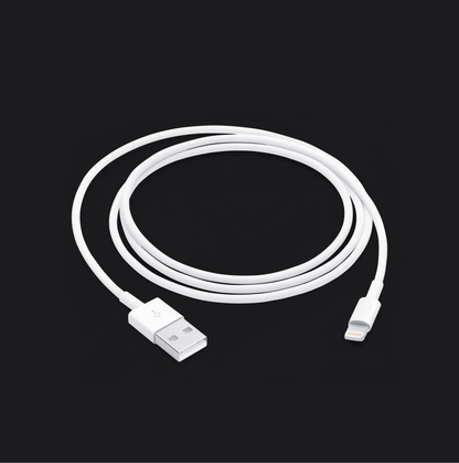 Câble de chargement pour Apple Iphone